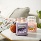 Yankee Candle - Floral Enchantment 538g | Περιορισμένη έκδοση